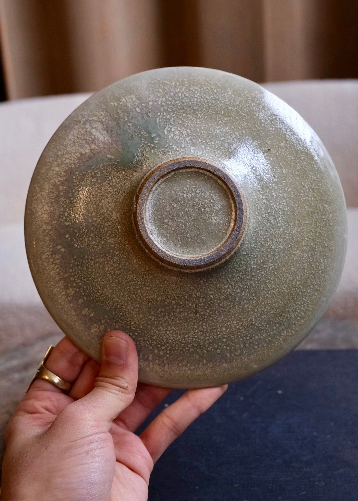 Tide pool plate 5