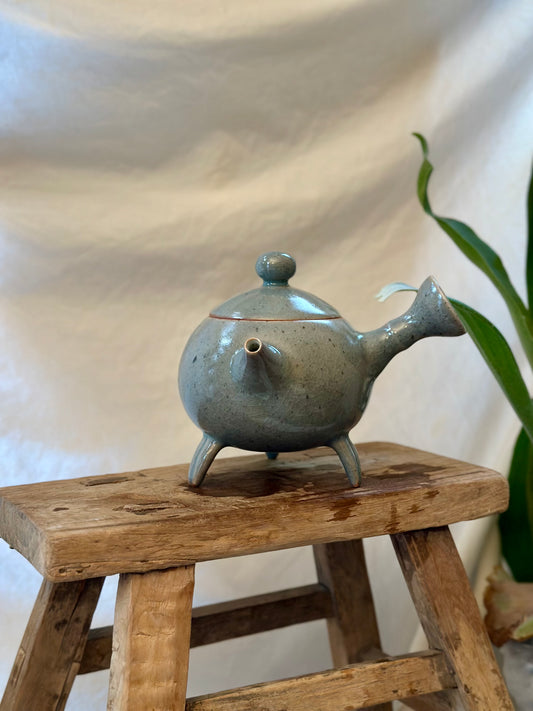 Susuwatari kyusu revolve  teapot