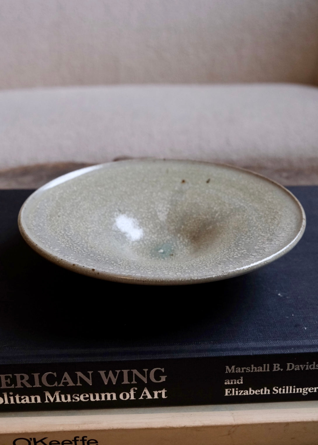 Tide pool plate 5