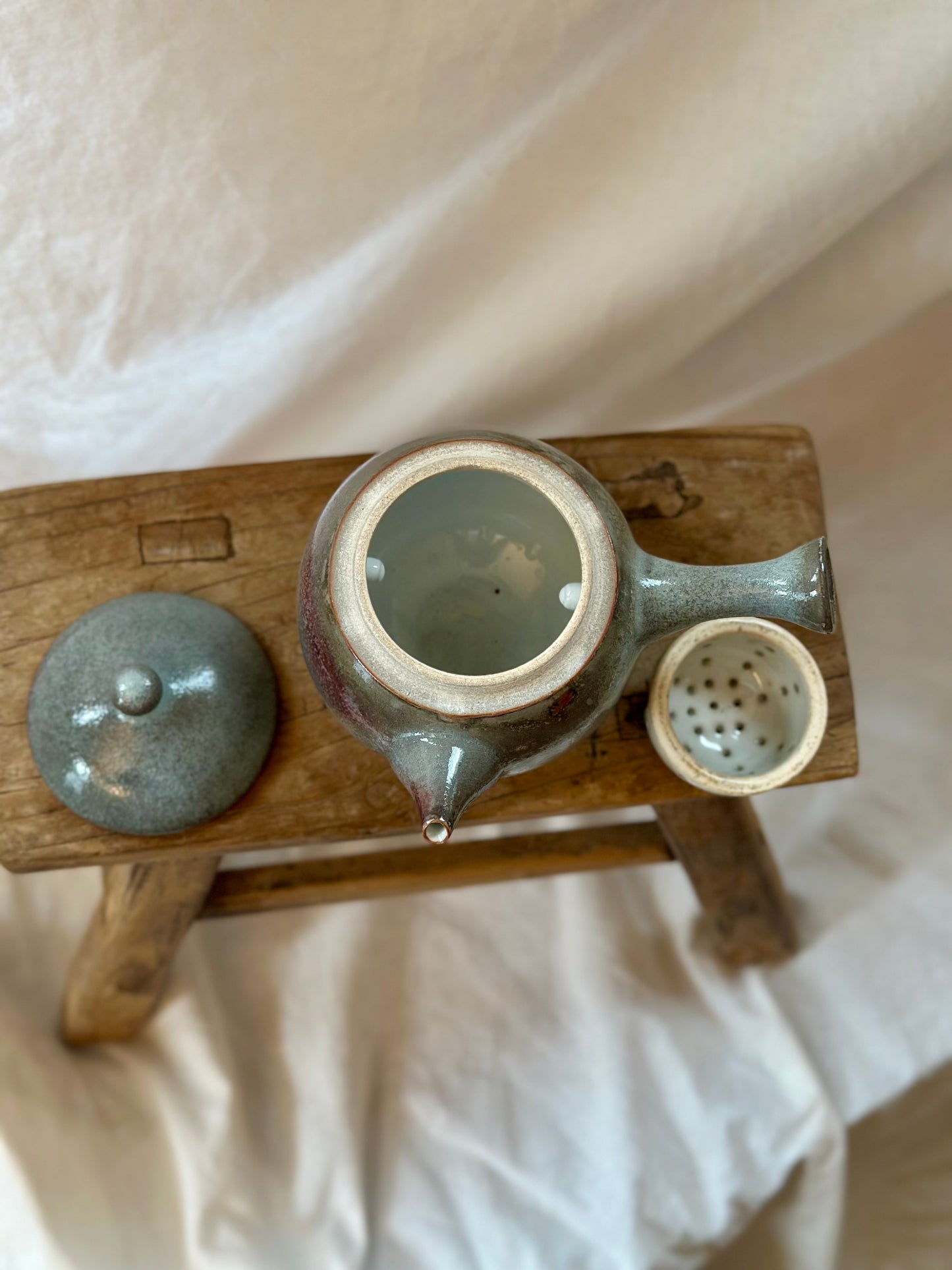 Rainbow fish kyusu revolve teapot