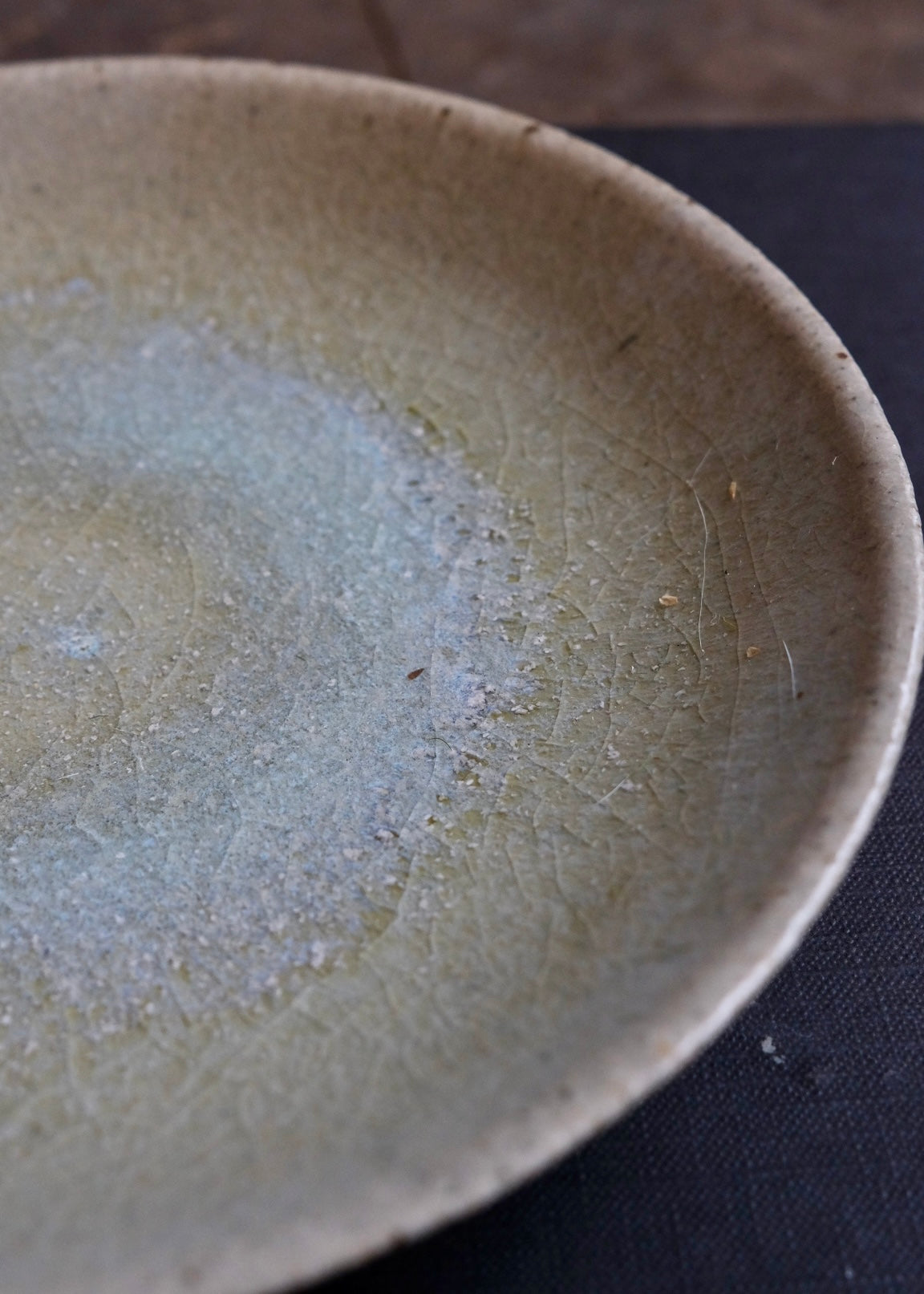Tide pool plate 4