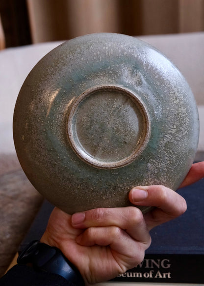 Tide pool plate 2