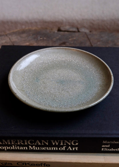 Tide pool plate 2