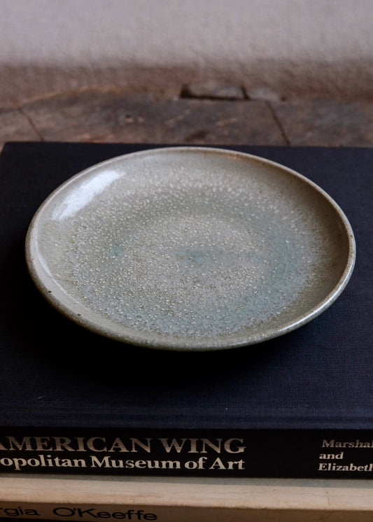 Tide pool plate 2