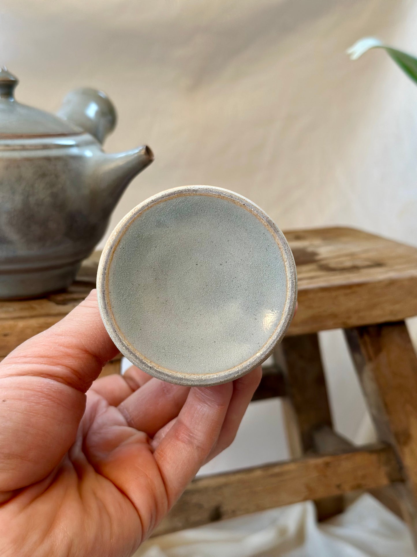 Glacial ash pedestal kyusu revolve  teapot