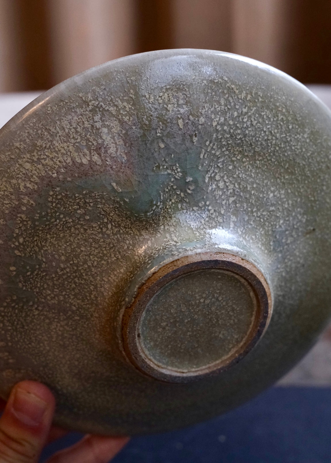 Tide pool plate 5