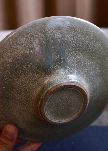 Tide pool plate 5