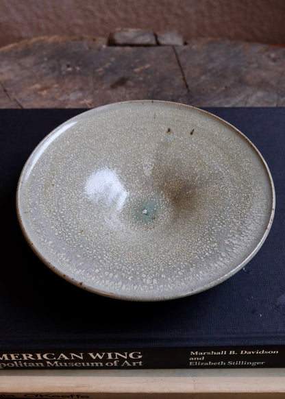 Tide pool plate 5