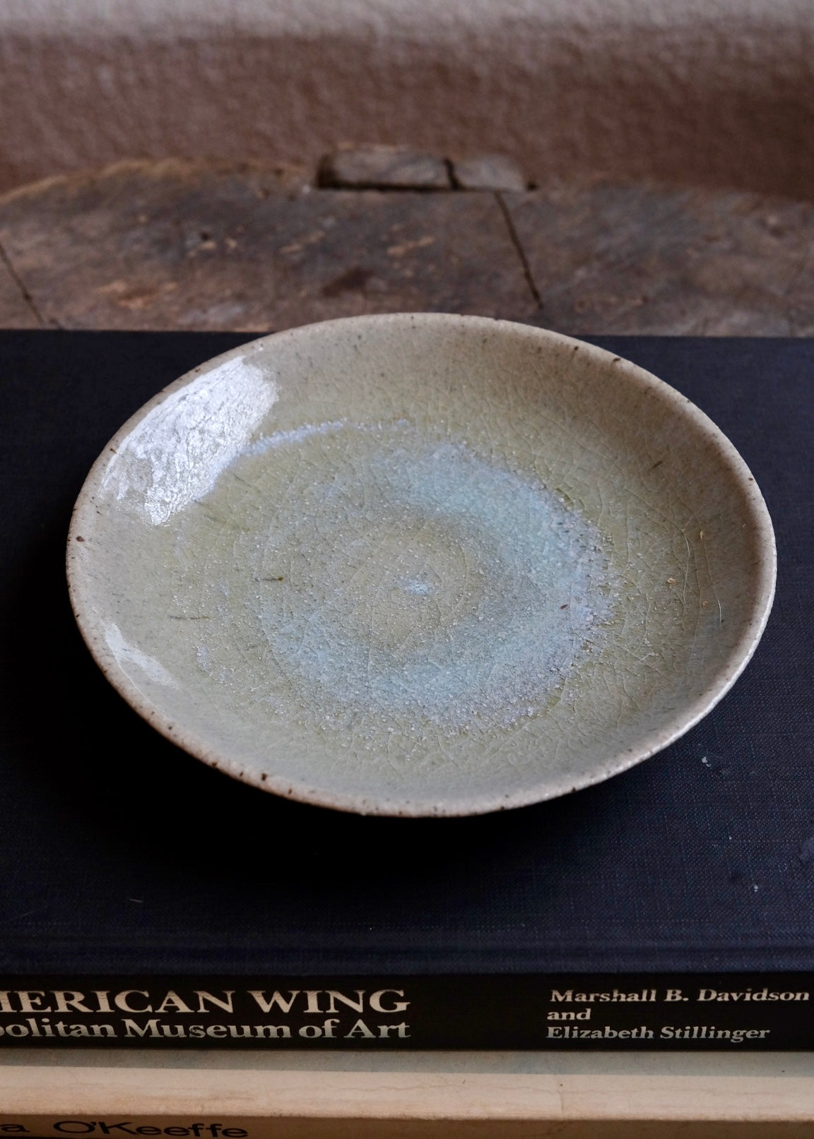 Tide pool plate 4