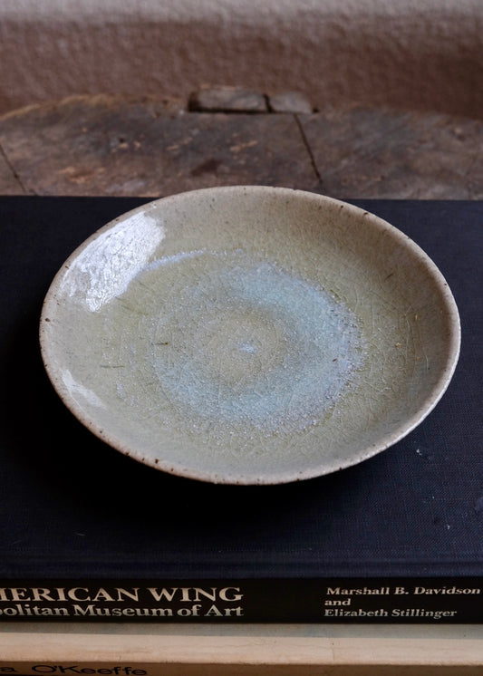 Tide pool plate 4