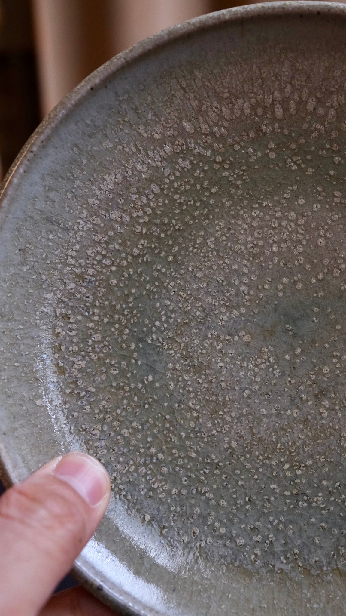 Tide pool plate 2