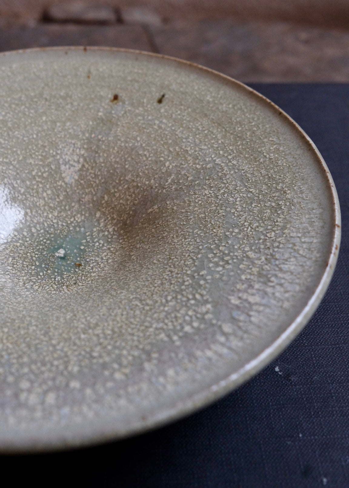 Tide pool plate 5