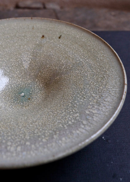 Tide pool plate 5