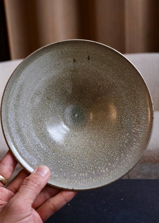Tide pool plate 5
