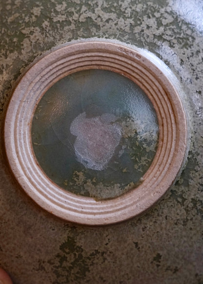 Tide pool plate 3, As is