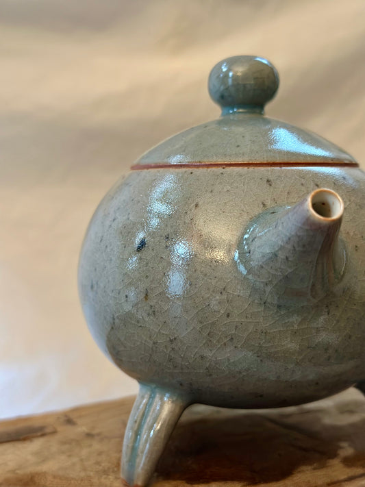 Susuwatari kyusu revolve  teapot